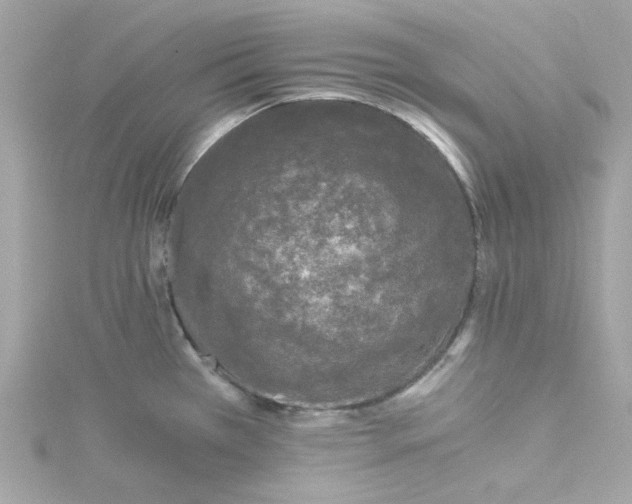 X0000115041385200911161518