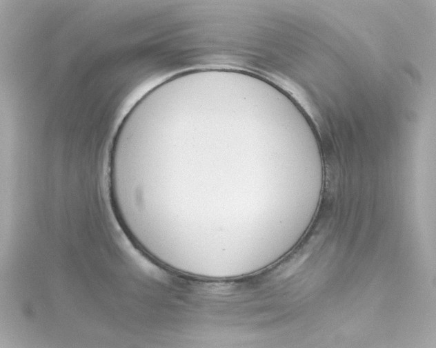 X0000115041387200911161518