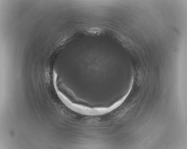 X0000115041394200911161517
