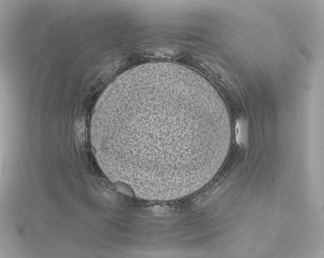 X0000115041395200911161517