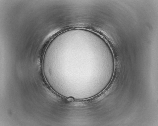 X0000115041402200911161517