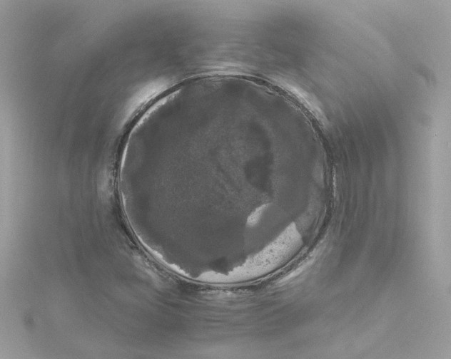 X0000115041405200911161517