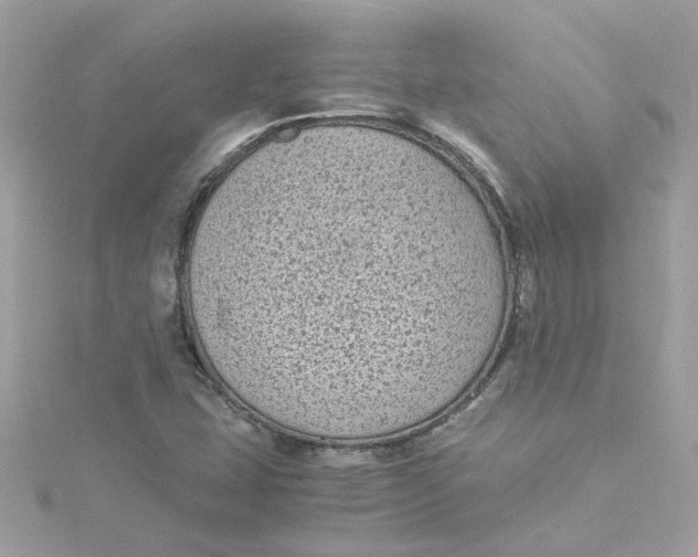 X0000115041407200911161517