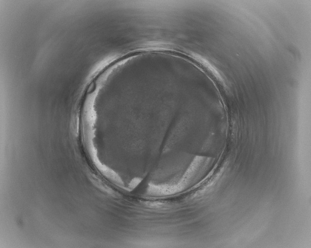 X0000115041413200911161518