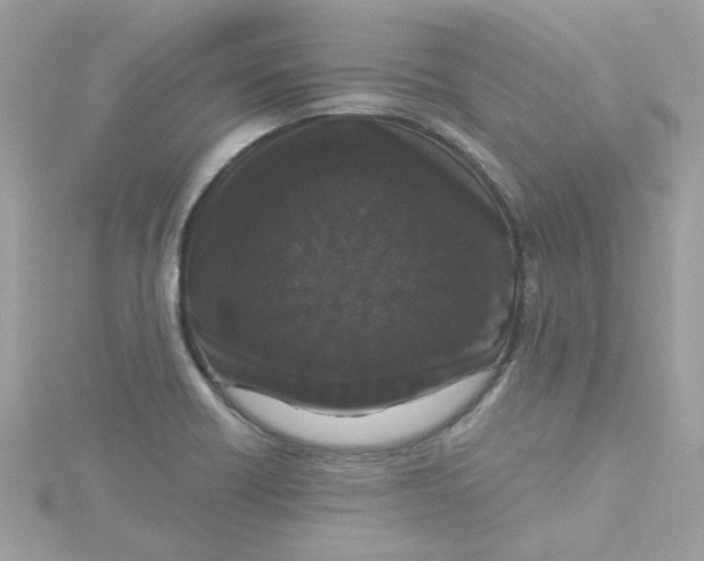 X0000115041418200911161518