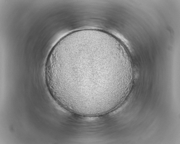 X0000115041423200911161518