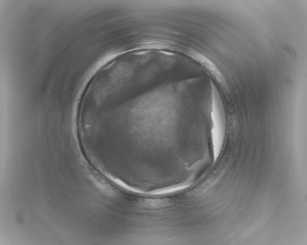 X0000115041427200911161518