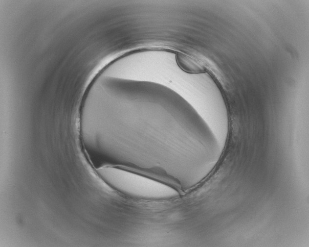 X0000115041428200911161518
