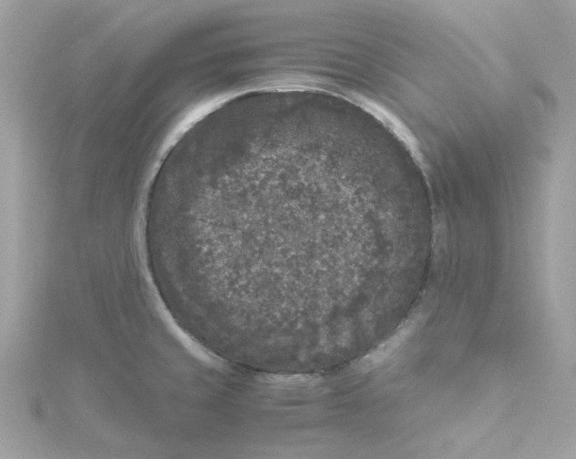 X0000115041429200911161518