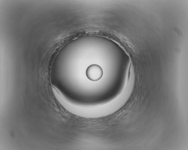 X0000115041445200911161517