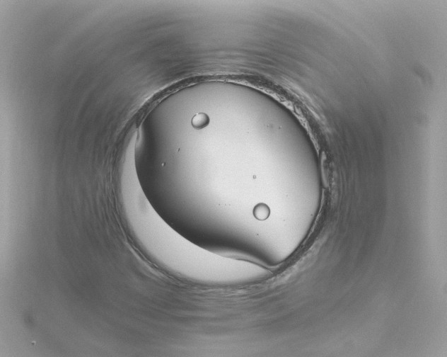 X0000115041449200911161517