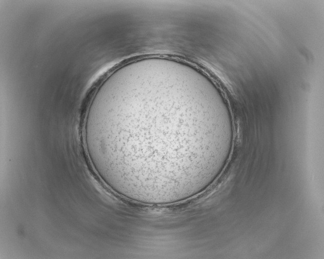 X0000115041452200911161517