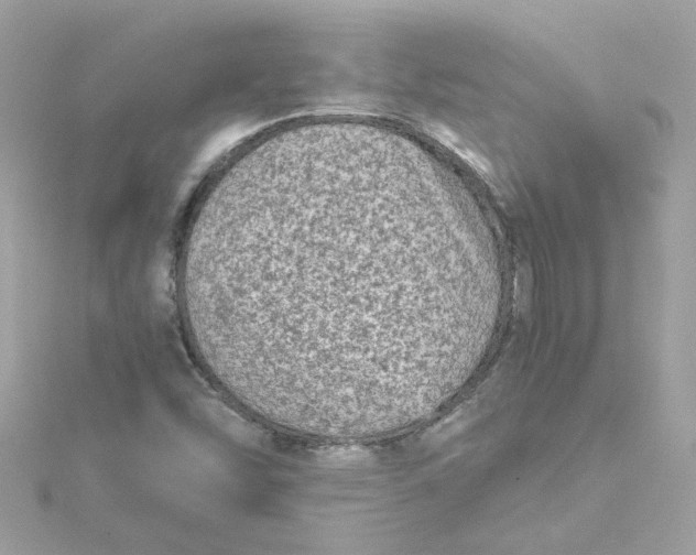 X0000115041454200911161517