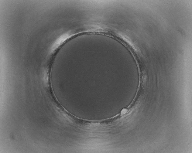 X0000115041455200911161517