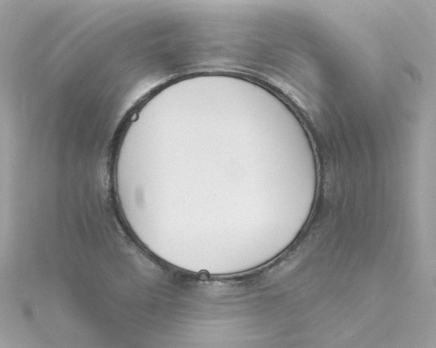 X0000115041458200911161517