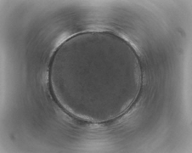 X0000115041459200911161517