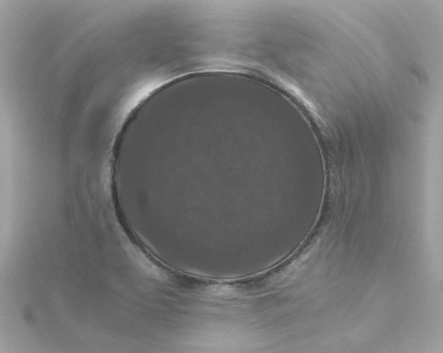 X0000115041463200911161517