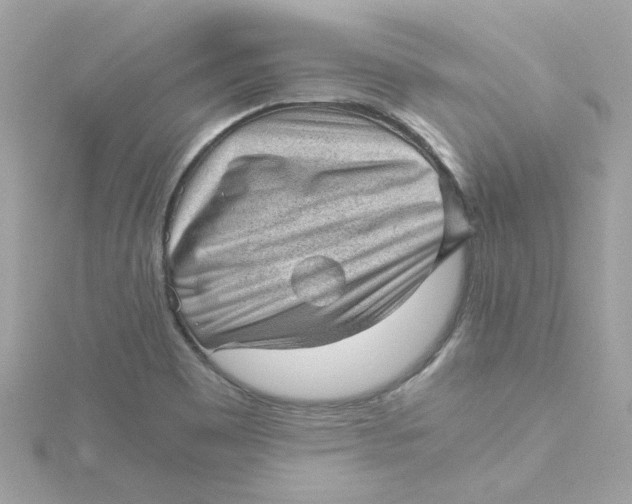 X0000115041465200911161517