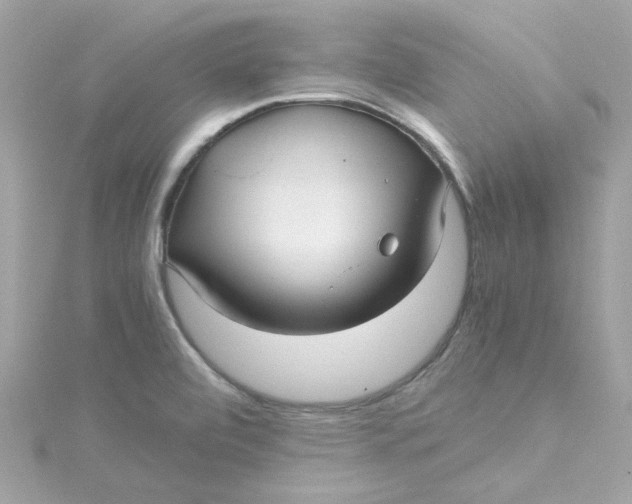 X0000115041472200911161517