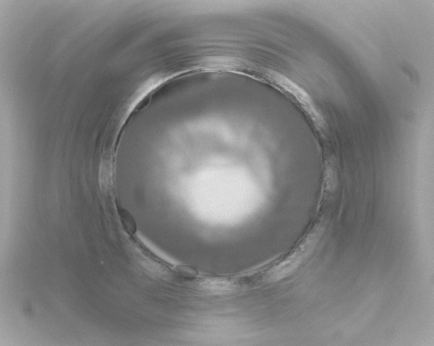 X0000115041473200911161517