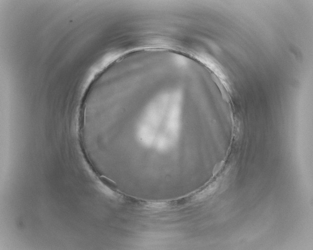 X0000115041477200911161517