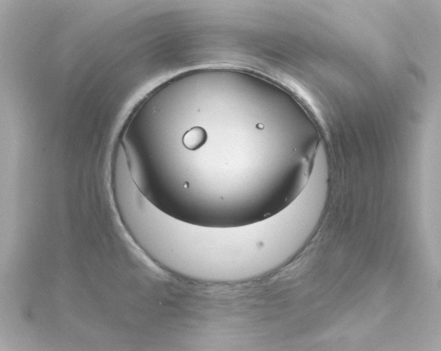 X0000115041480200911161517