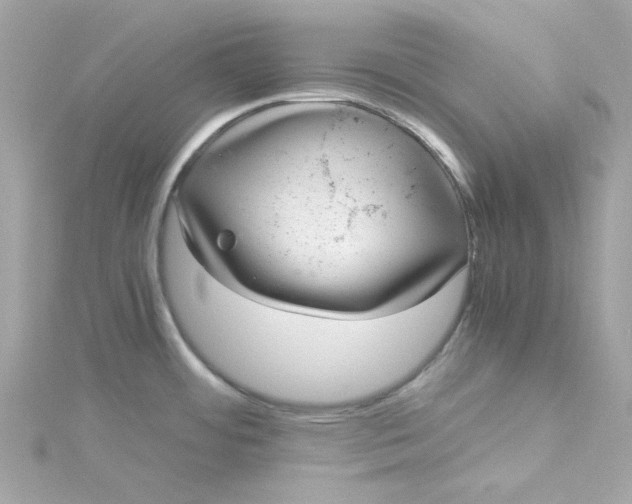 X0000115041484200911161517