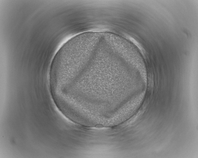 X0000115041487200911161517