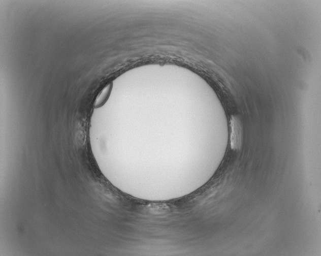 X0000115041491200911161516