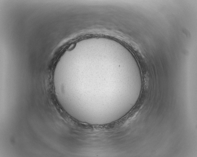X0000115041494200911161516