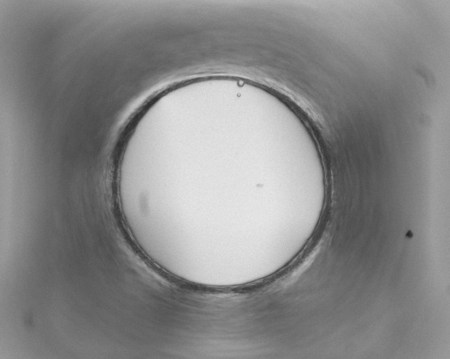 X0000115041502200911161516