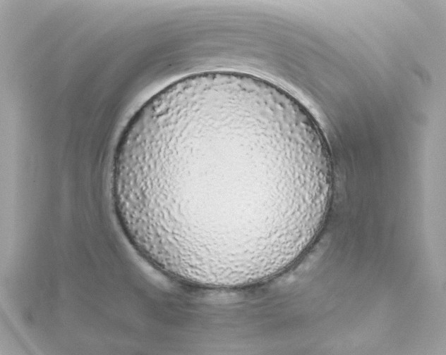 X0000115041525200911161517