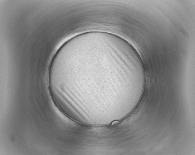 X0000115041531200911161517