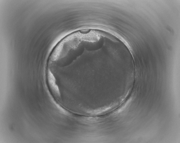 X0000115041533200911161517