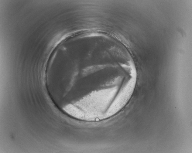 X0000115040002200911231142