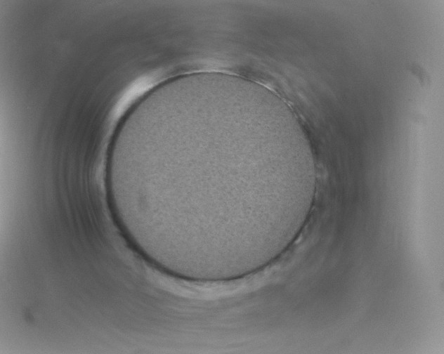 X0000115040006200911231142