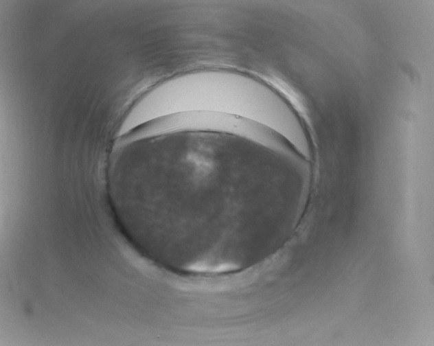 X0000115040009200911231142