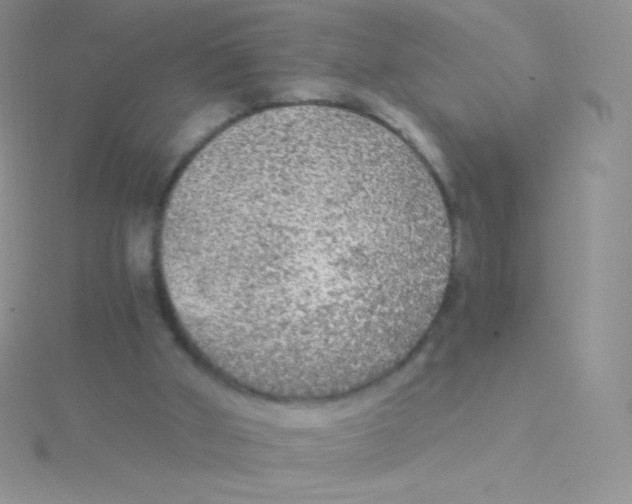 X0000115040010200911231142