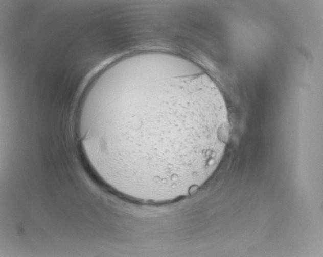 X0000115040012200911231142