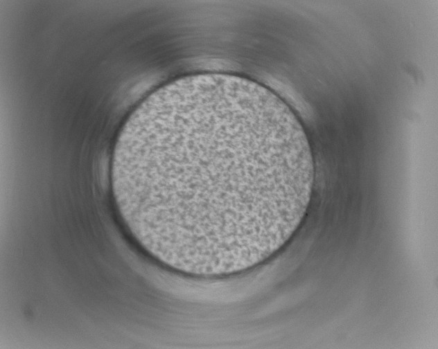 X0000115040014200911231142