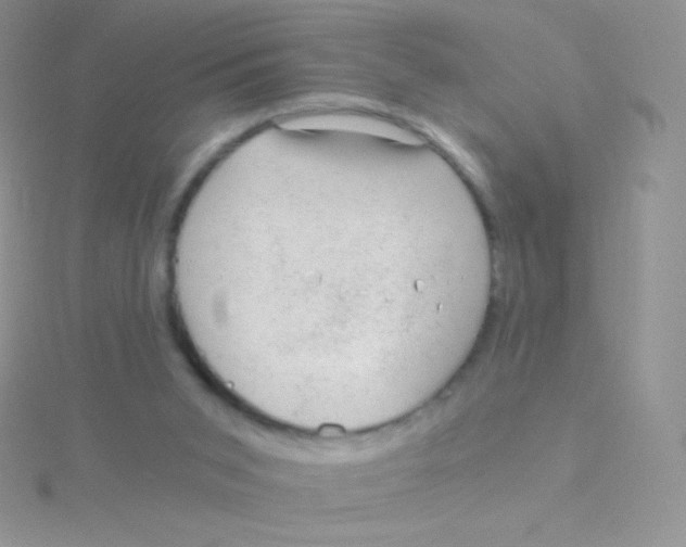 X0000115040015200911231142