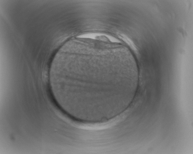 X0000115040017200911231142