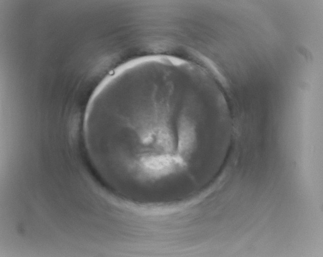 X0000115040018200911231142