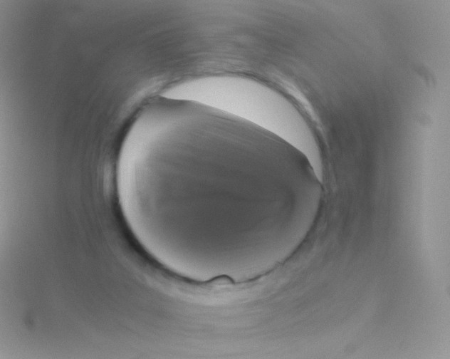 X0000115040019200911231142