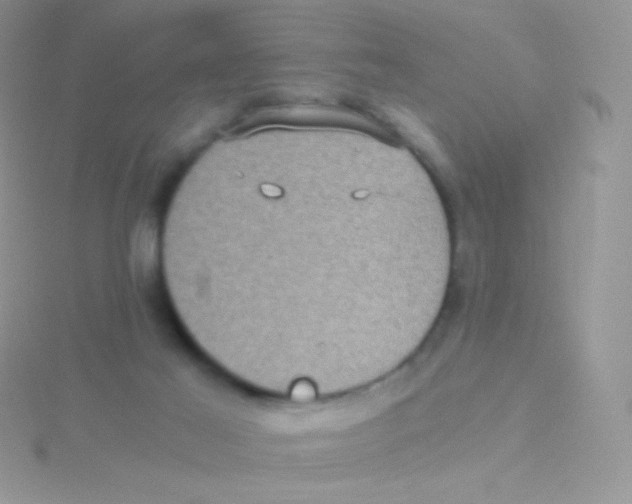 X0000115040021200911231142