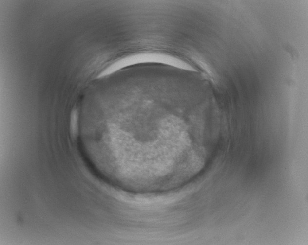 X0000115040022200911231142