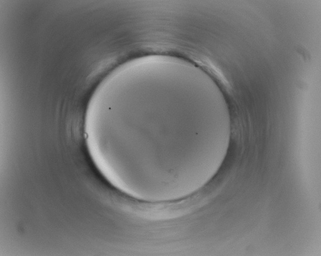 X0000115040023200911231142