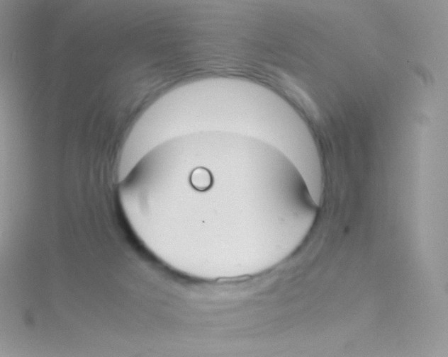 X0000115040025200911231142