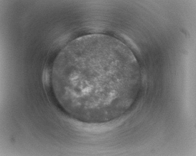 X0000115040026200911231142