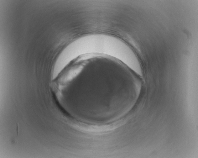 X0000115040027200911231142